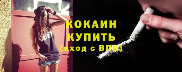 дживик Баксан