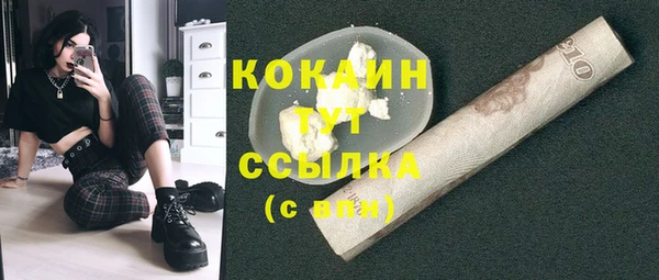 дживик Баксан