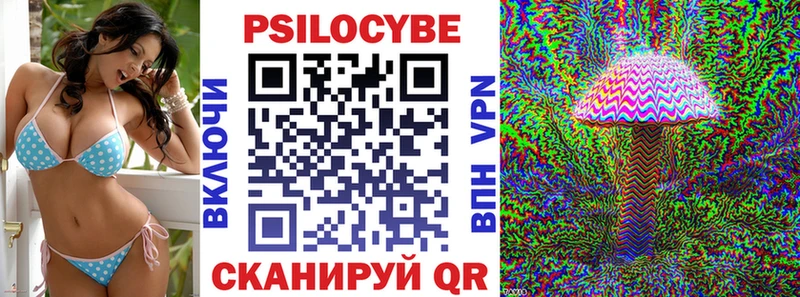 blacksprut ссылка  Велиж  Галлюциногенные грибы Psilocybe 